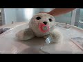 Cute Robot Alert Paro The Robot Seal In Tokyo