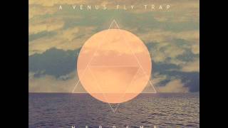 A Venus Fly Trap - Deca
