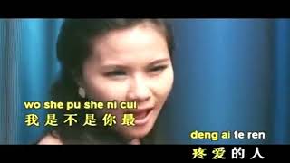 Download lagu wo shi bu shi ni zui teng ai de ren   HUANG JIA JIA   REMIX KARAOKE mp3