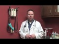 Canine Feline Diseases Dog Vomiting Causes