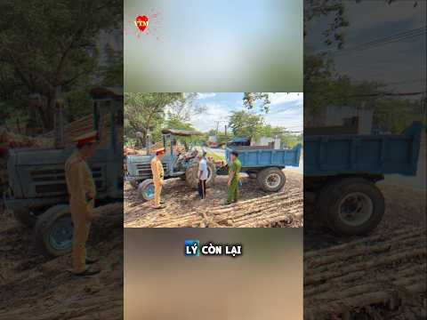 Máy Cày Ra Đường Vì Sao Thành 90 Triệu