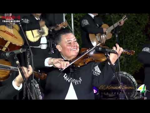 Viva Veracruz #1 Leyendas del Mariachi