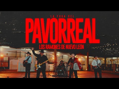 La fuga del pavorreal - Los Ramones De Nuevo León