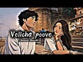 Velicha Poove Slowed Reverb Siva Karthikeyan Priya Anand ️