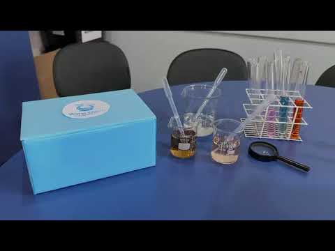 Water Watch - E.E.E.M AGOSTINHA DILL (Condor/RS)