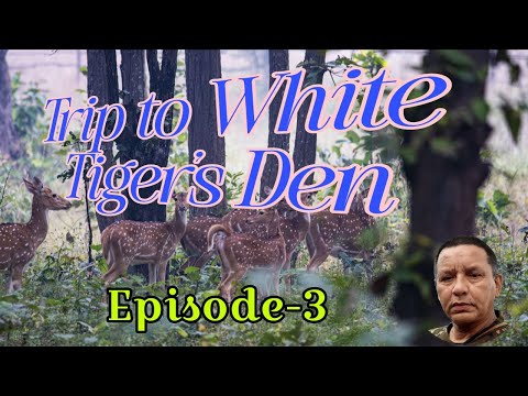 Trip to White Tiger's Den, Episode-3