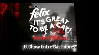 Purina Felix, It's Great To Be a Cat - Behind the Scenes anuncio
