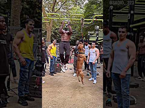 Man vs pitbull dog 😱 bodybuilder #shorts #viralshorts #youtubeshorts #trending