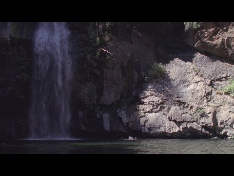 Turnover - "Super Natural" (Official Music Video)