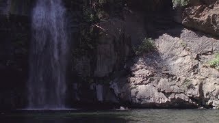 Turnover - &quot;Super Natural&quot; (Official Music Video)