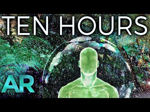 Windy Forest Rain - 10 Hours (3D Audio)