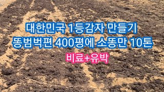 대한민국 1등 감자만들기 1편 똥범벅~비료,유박 살포