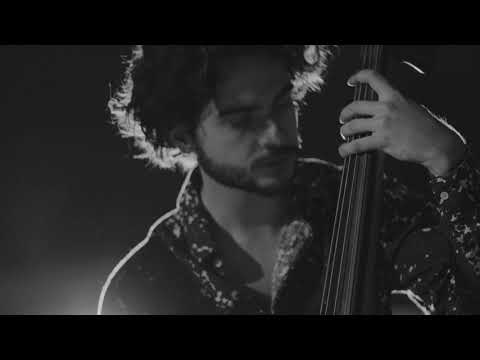 Andrei Petrache Trio – Counterpoint