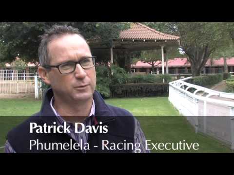 CAPE TOWN NOIR TO RUN IN THE HORSE CHESTNUT   Computer