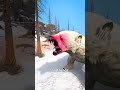 Using Bear Spray On A Polar Bear