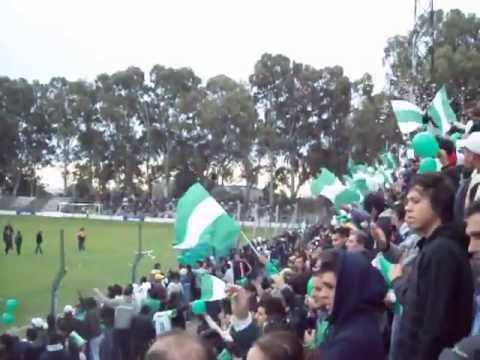 ♪♪ Verde Mi buen Amigo ♪♪