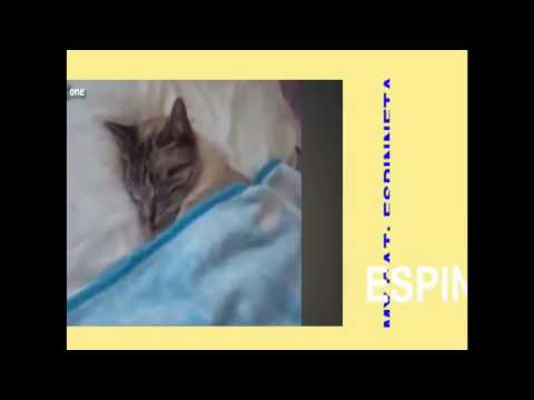 Colombia, Au pair 24 Laura Gomez