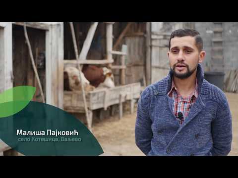 Naša priča ep. 237 05.03.2020. Stočarstvo, gazdinstvo Pajković, Kotešica, Valjevo