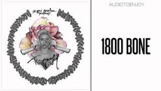 Iggy Azalea - 1800 Bone (Audio)
