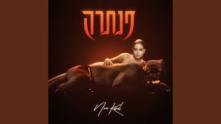 Cover art for פנתרה