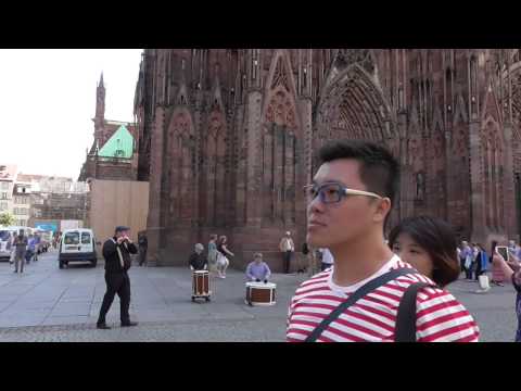Hounds of Ulster in Strasbourg France 2016 Flash Mob
