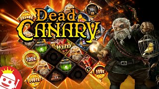 💥 PLAYER LANDS 65,000X RECORD MAX WIN ON DEAD CANARY! Video Video