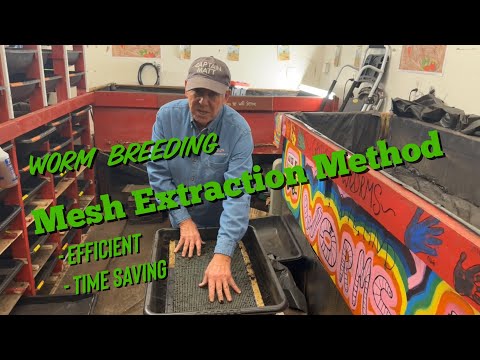 The Time Saving Mesh Worm Extraction Method