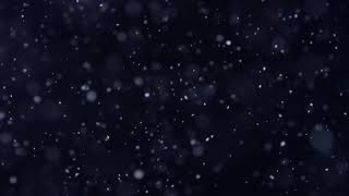 &quot;I Heard The Bells&quot; SONGS | Sing the Bible Family Christmas | Slugs &amp; Bugs