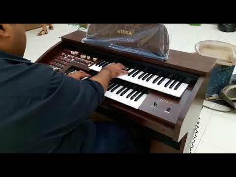 Orgão Eletrônico Tokai MD-7 - Loja Teclasom