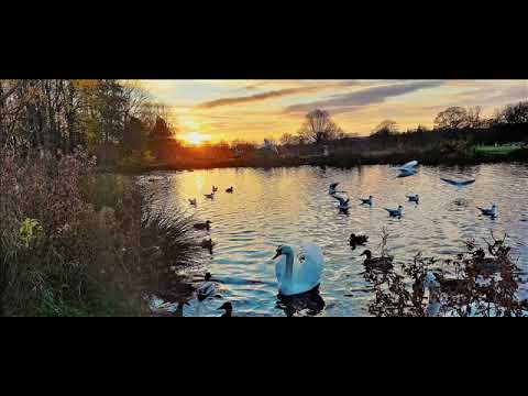 Joer Van Ray - Hello Sunrise (Plutian Remix)