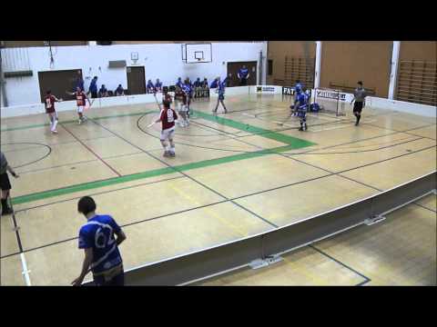 Salibandy: Salpa - LeBa'96 | 3.2.2012 | Maalikooste