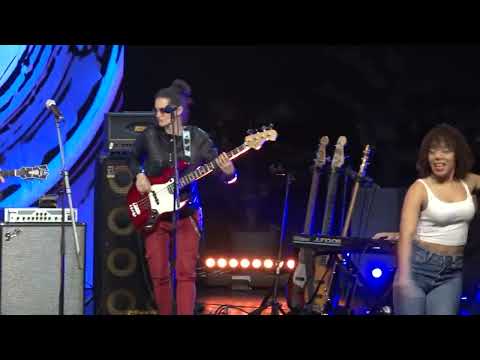 MAČAK U KAMENU  ZLATNI PAPAGAJ - 10.11.2022. - INSTA TV