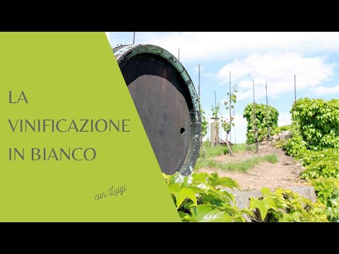 La vinificazione in bianco