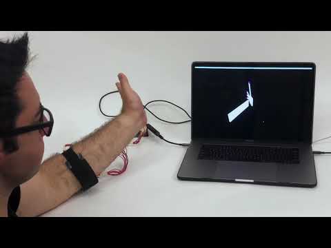 Interferi: Gesture Sensing using On-Body Acoustic Interferometry