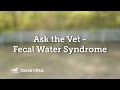 Ask The Vet Fecal Water Syndrome