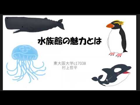 こども学科 水族館の魅力