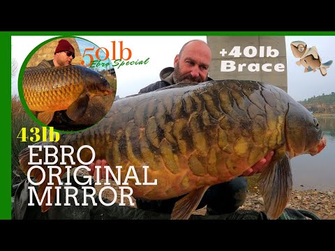 Winter Fishing on the Ebro! 43 lb Ebro Original Fully Scaled Mirror & 50+ lb Golden Winter Carp!