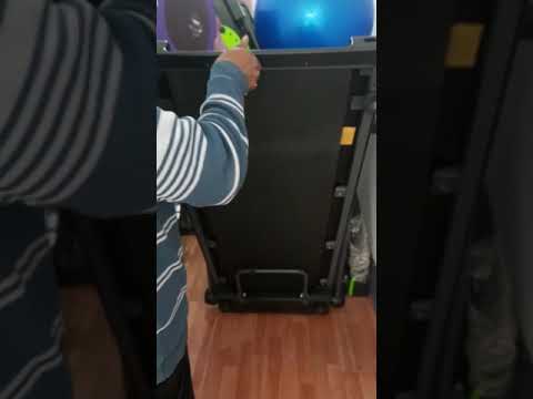 Exercise Treadmill