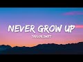 Taylor Swift – Never Grow Up (Lyrics)