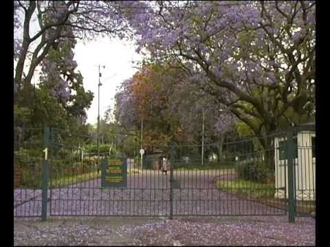 Südafrika Reisereportage Teil 1