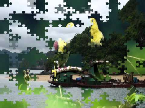 Nhớ nhau - Hoàng Nhật Minh