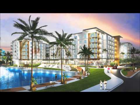 Doster Year in Review 2015