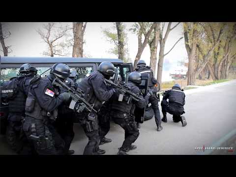Demonstracija obučenosti Specijalističke jedinice Odreda Žandarmerije u Beogradu