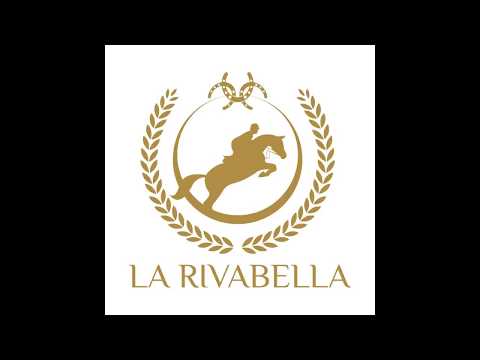 CANCARA (CASSINI I) x QUICK STAR - femmina holsteiner del 2011 VENDUTA