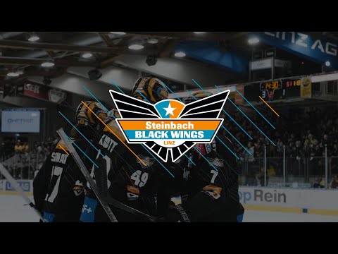 Die besten Bilder vom Heimspiel gegen Fehervar AV19