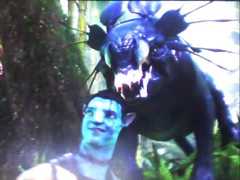 "Finding Joy" Part 7 - Jungle Land/San Diego Zoo