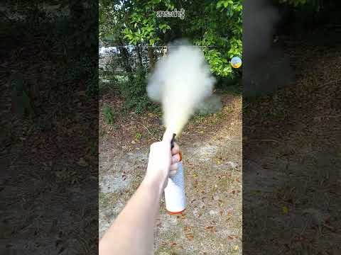 วิธีเอาตัวรอดเมื่อเจอหมีระยะประชิด