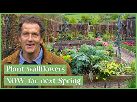 Monty Don's October Gardening Checklist | S5E29 | FULL EPISODE | Gardeners' World