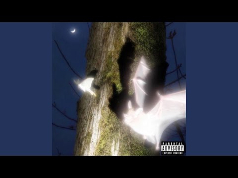 KRADCI (feat. VLAYZ)