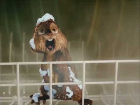 Procurando Alvin Parte 6 Alvin é Capturado